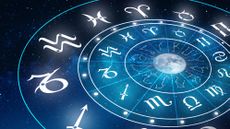 zodiac sign wheel of fortune