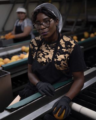 Person working in an orange processing factory