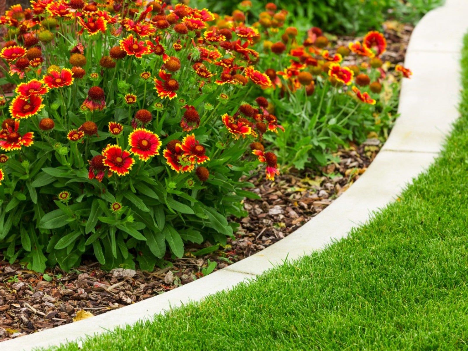 Flower Bed Edging For Home Gardens | Gardening Know How, image size:1600x1200