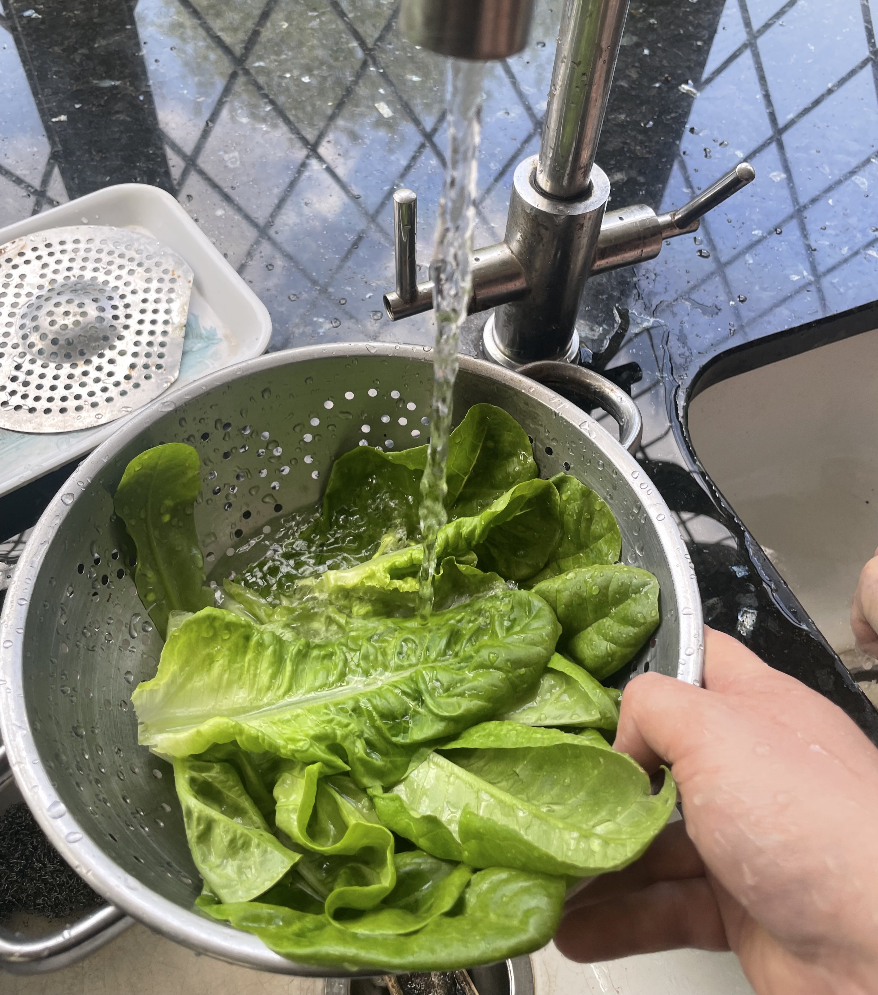 Lettuce being washed in a sieve under a tap