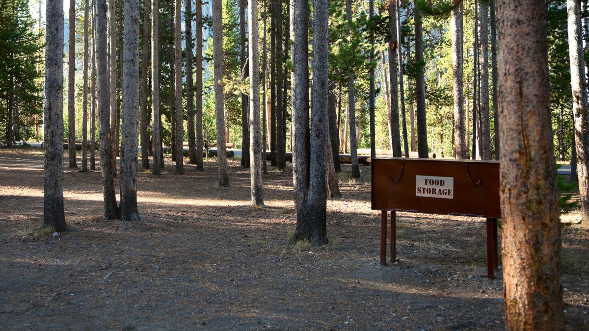 A bear box in a campground