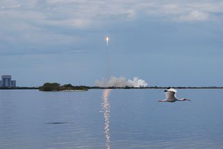 SpaceX's debut Falcon 9 rocket soars into space on its maiden flight during a June 4, 2010 test launch.