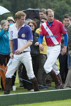 Prince Harry and Prince William Garticle