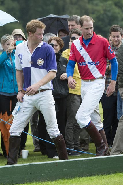 Prince Harry and Prince William Garticle