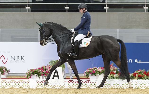 The only para dressage competition in the Arab world