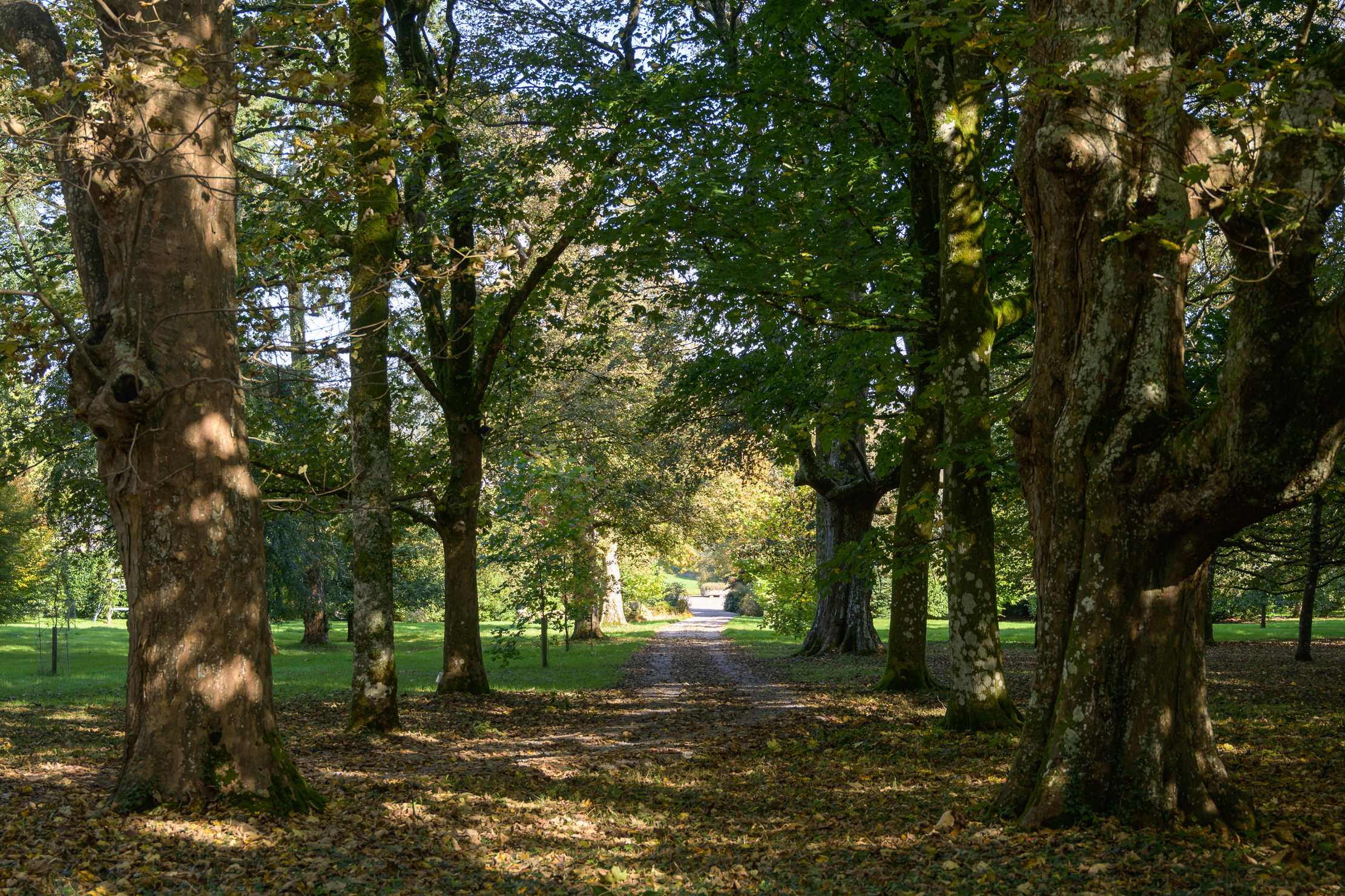 Images of The Argoed in Monmouthshire