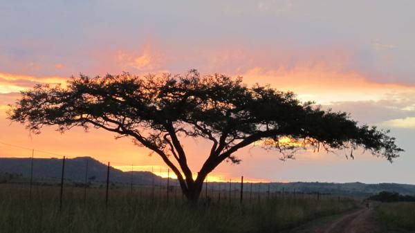 South African skies
