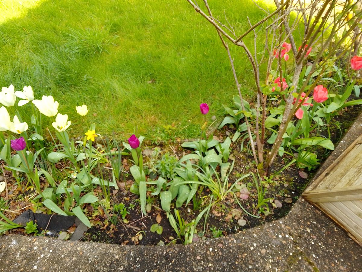 A Nokia G11 camera sample