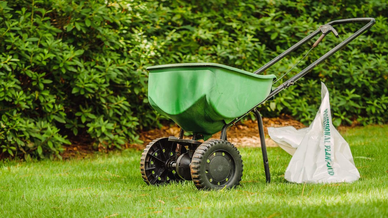 A walk-behind spread and bag of feed for fertilizing a lawn