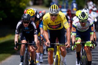 Mathieu van der Poel wore the leader's yellow jersey at the Tour de France