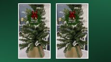 photo of a tiktok screen with a christmas tree on a green background, meant to symbolize the tiktok christmas tree hack