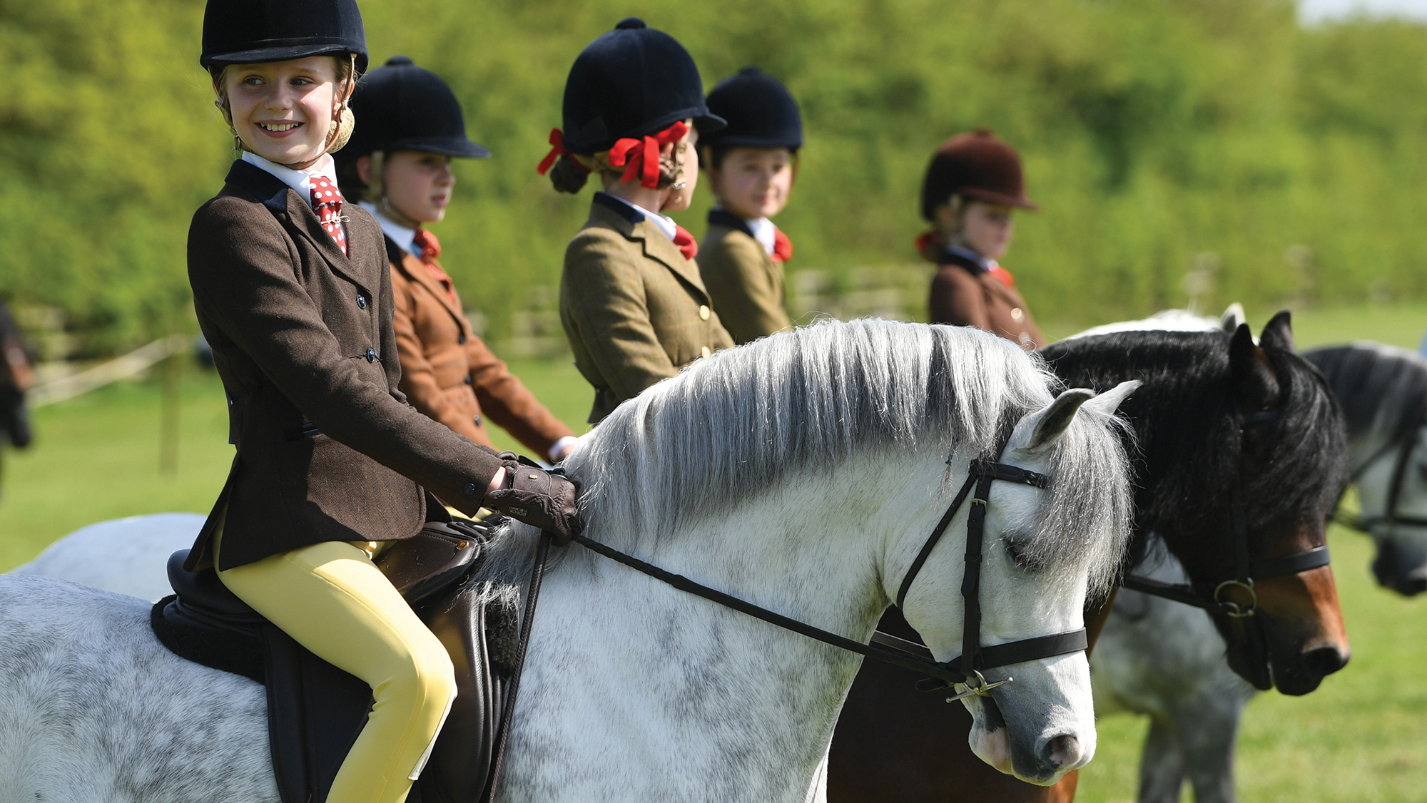 A line up of first ridden native ponies with a grey welsh pony closest to the camera with a young rider on board