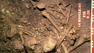 Human skeletons found at a burial site in France. 