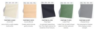 5 of the 15 colours in the Pantone collection
