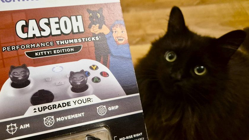 Photo of a black cat looking at a pair of cat-shaped Xbox thumbsticks.