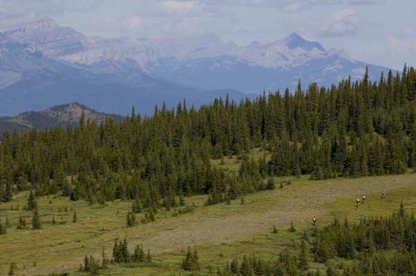 Threre are bears down there.