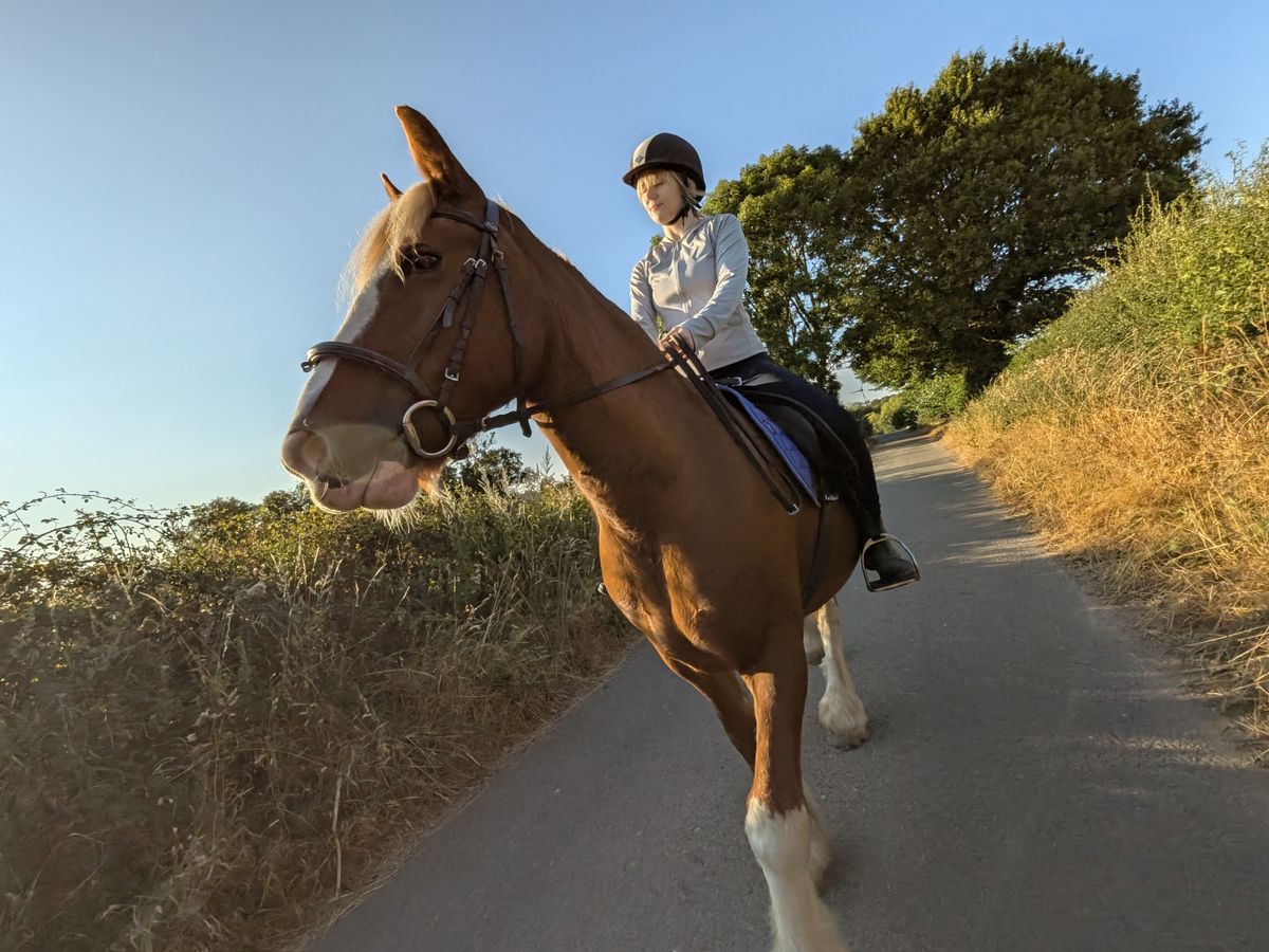 Horse rider wearing a helmet riding a brown horse along a narrow country lane in warm evening sunlight.