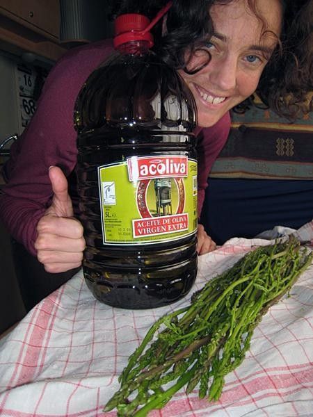 The harvest of Spain
