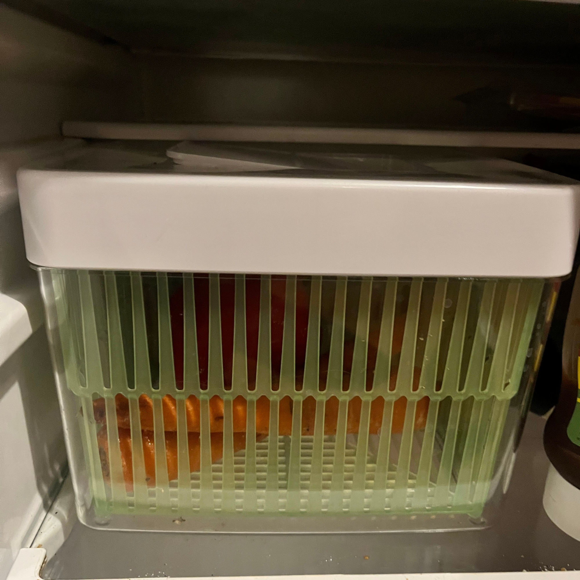 Lakeland produce keepers in fridge