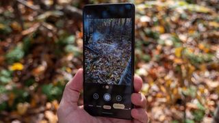 The camera viewfinder on the Google Pixel 7