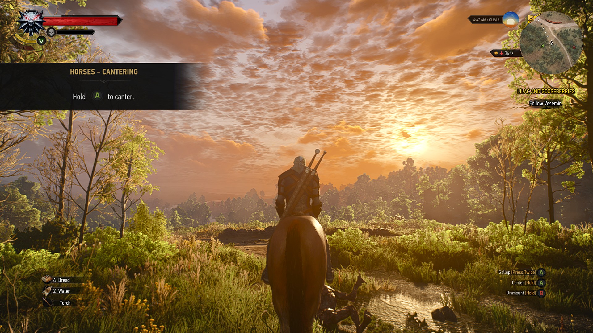 The Witcher 3 Remastered screenshot of geralt on horseback looking out at the setting sun in a forest