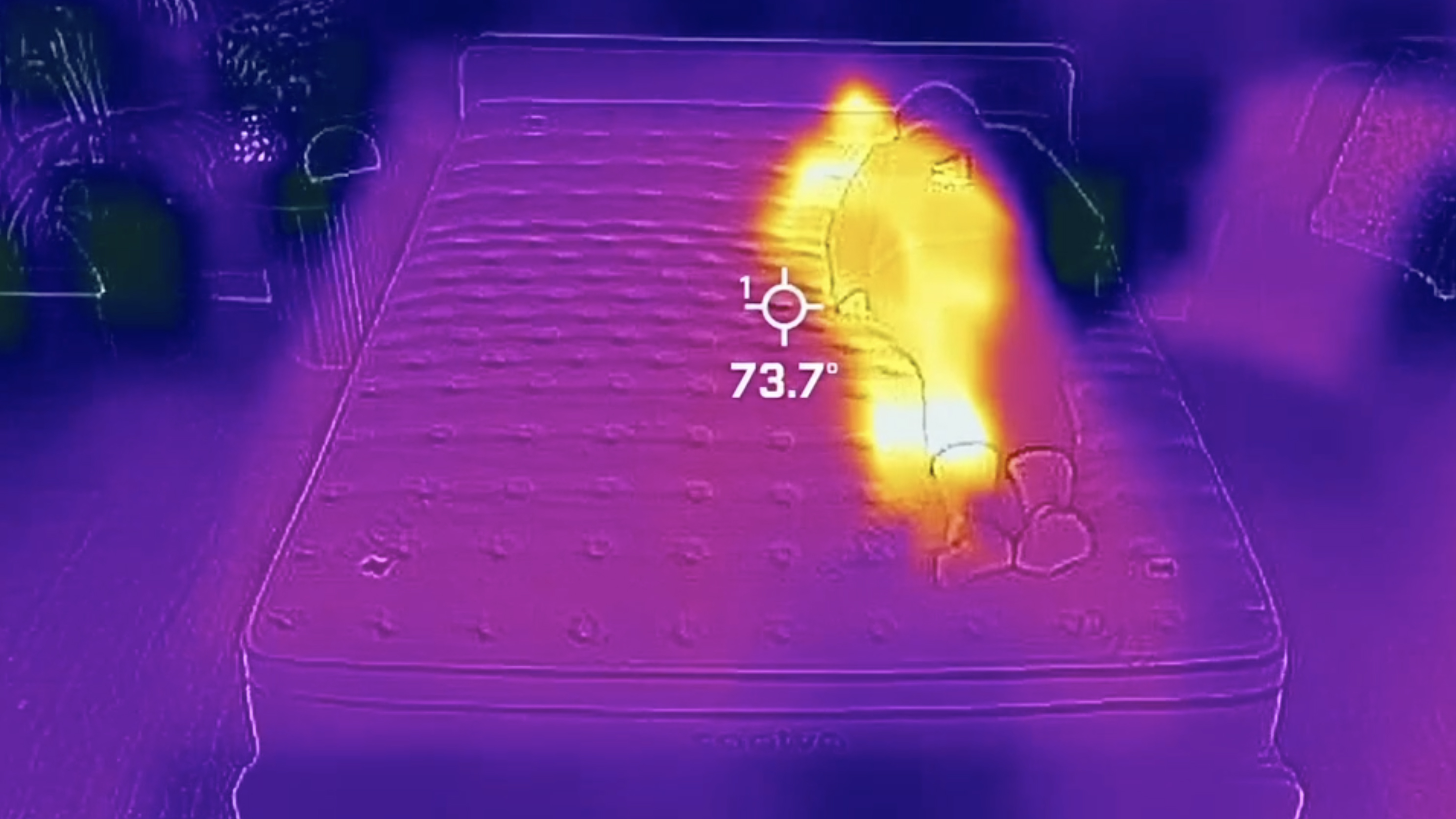 One of our mattress testers lies on the Saatva Classic during a temperature regulation test and is photographed by a thermal imaging camera, so that we can measure heat absorption and heat dissipation at six standardized spots across the mattress and the tester. Using all of this data enables us to work out how much heat the Saatva Classic mattress absorbs and how quickly it gets rid of it to prevent overheating