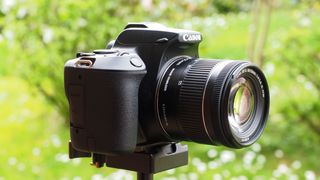 Canon EOS 250D on a tripod in a garden