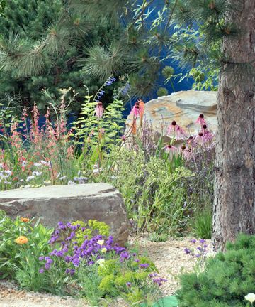 How to clean landscaping rocks: simple methods that work | Homes and ...