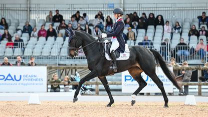 Yasmin Ingham and Gypsie Du Loir lead the 2026 Pau horse trials dressage phase on day one
