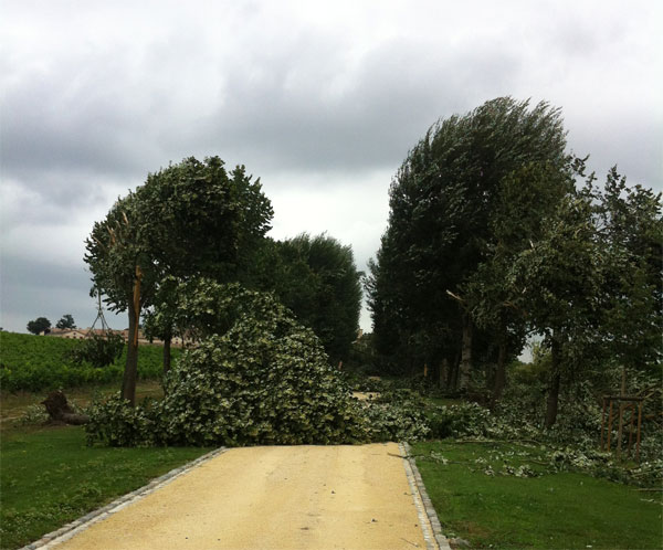 Medoc storms Lafite