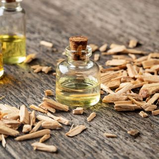 Cedarwood oil in a glass bottle on a wooden bench surrounded by cedarwood chips