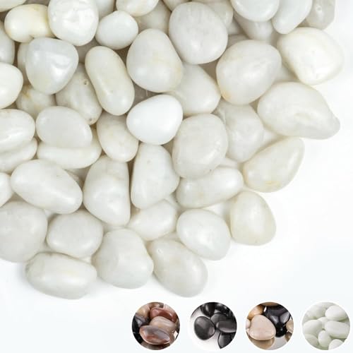 Finikis 2lbs White Pebbles for Indoor Plants, 1-2inch Natural River Rocks for Aquarium, High Polished Decorative Stones for Vase Filler Fish Tank Landscaping Garden