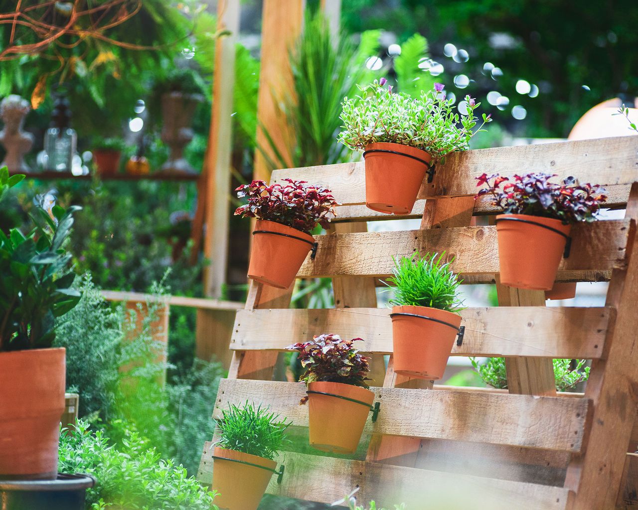 Pallet garden wall ideas 15 quick and cheap DIY projects Gardeningetc