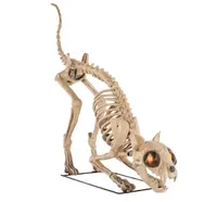Home Depot 5 ft. Long Grave & Bones LED Skelly's Cat