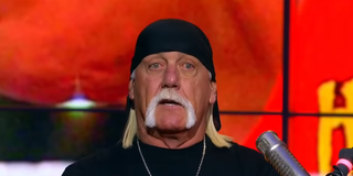 hulk hogan the herd interview