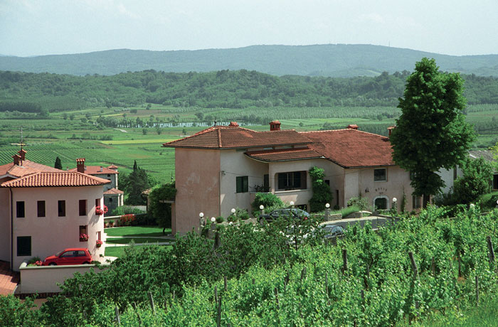 the view over the Italian border from Marjan Sim&amp;#269;i&amp;#269;&amp;rsquo;s vineyards in Slovenia