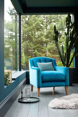 blue sofa with cushion by cactus and fur rug in front of windows with fir trees outside