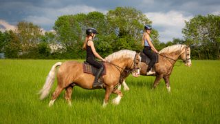 2 palomino ponies out for a ride