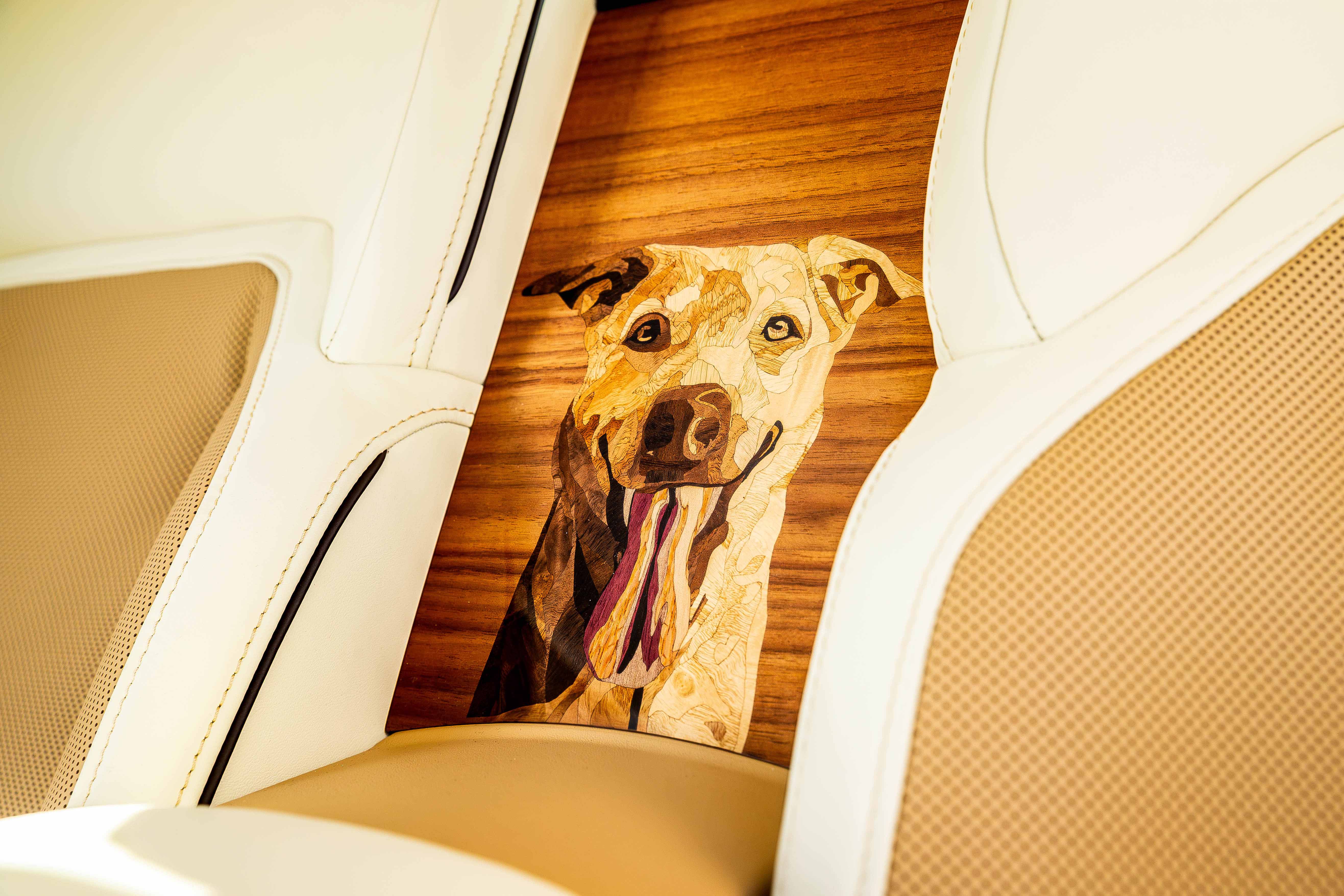 Images of the Rolls-Royce Spectre 'Bailey'