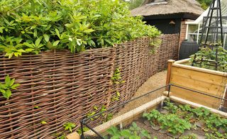 A vegetable garden with hazel woven fencing
