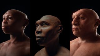 A series of three images of digital reconstructions of Homo floresiensis, Homo erectus, and a Neanderthal