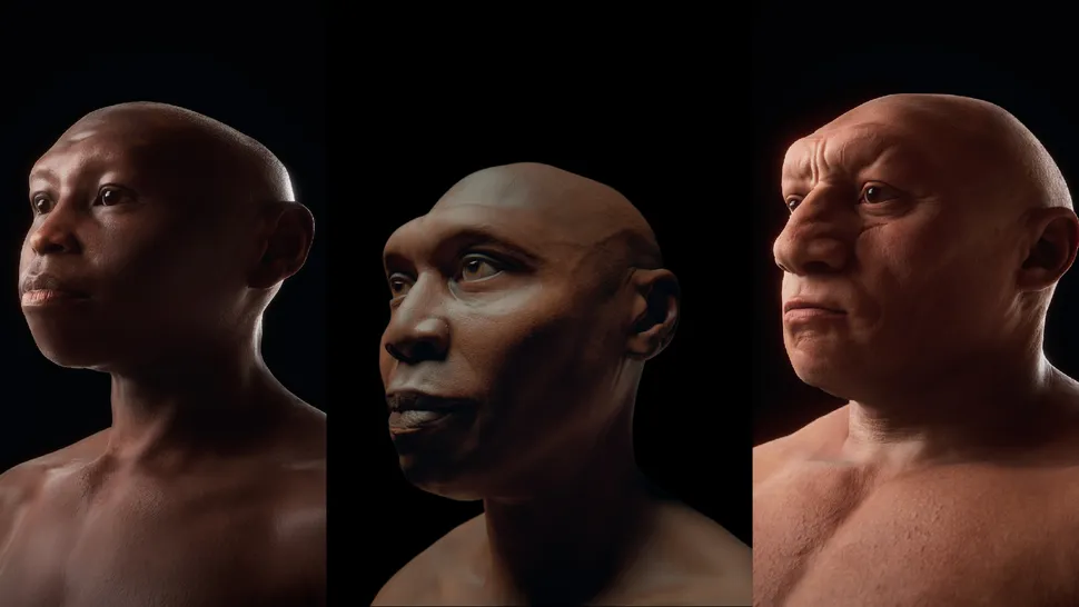 Stunning facial reconstructions of 'hobbit,'Neanderthal and Homo erectus bring human relatives to life