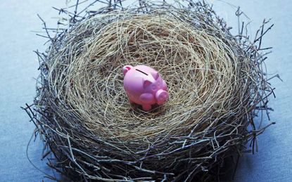 A tiny pink piggy bank sits in the middle of a bird's nest that suggests an insufficient nest egg.