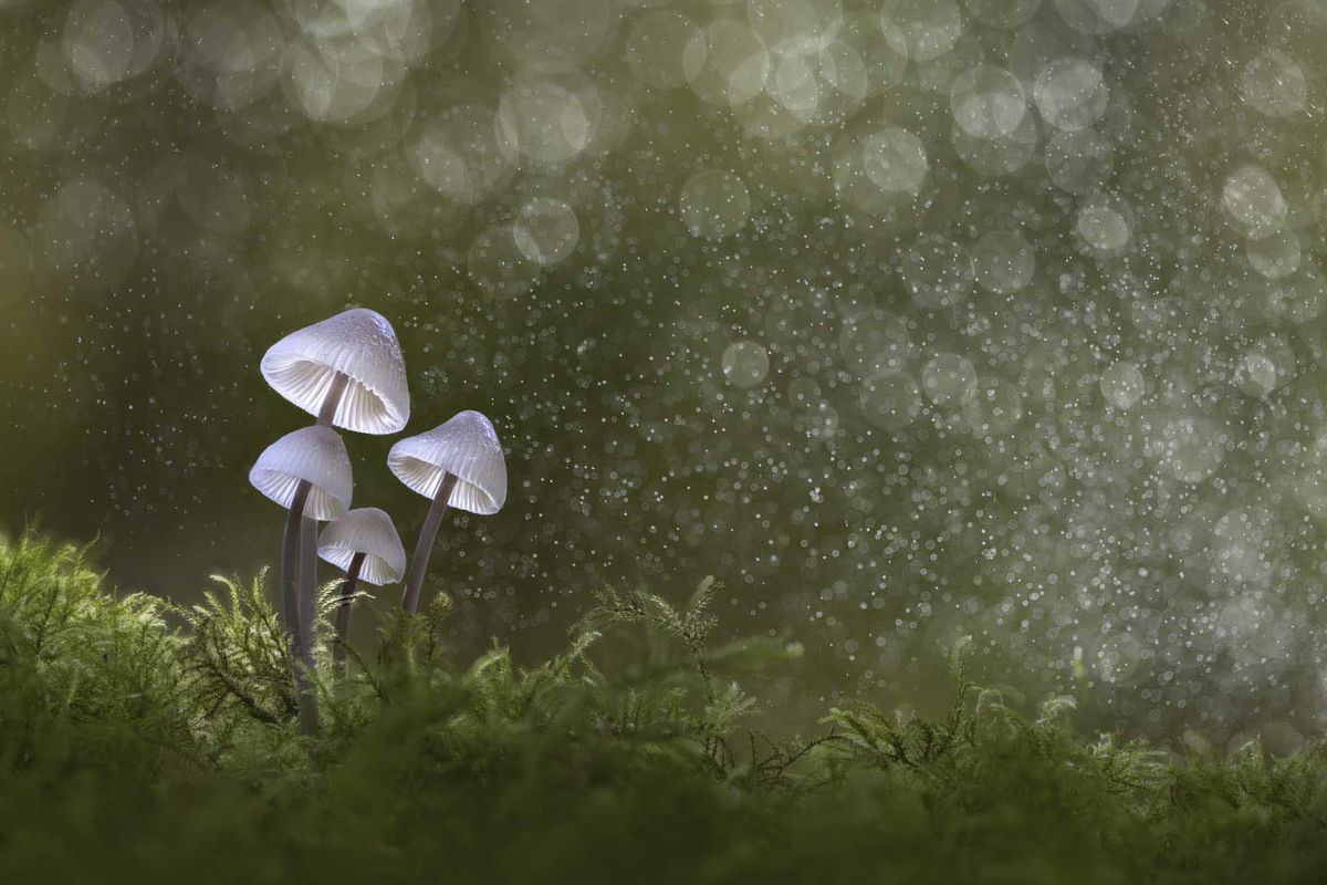 Image from the SheClicks exhibition at the Photography &amp; Video SHow 2025