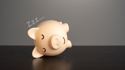A piggy bank lies on its side, sleeping.