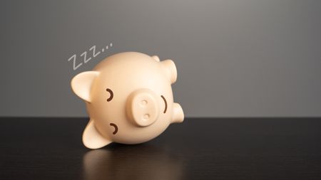 A piggy bank lies on its side, sleeping.