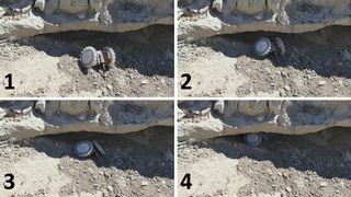 A prototype of NASA’s PUFFER robot crawls under a ledge during field testing. The robot’s small size and foldable body allows it to wedge itself into small spaces.