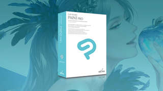 Paint Pro software box