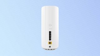 Netgear Orbi 873 ports