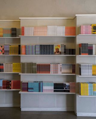 aesop los angles store queer library with books by LGBTQIA+ authors on shelves